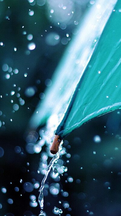 Rain umbrella iPhone 5s Wallpaper