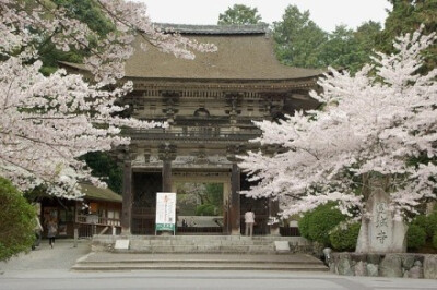 日本古寺巡礼。