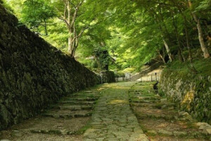 日本古寺巡礼。