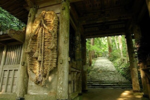 日本古寺巡礼。