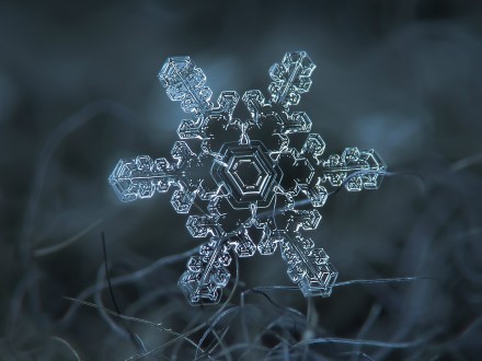 近观雪花之美，每一片都是独一无二的自然杰作。丨来自俄罗斯摄影师Alexey Kljatov。