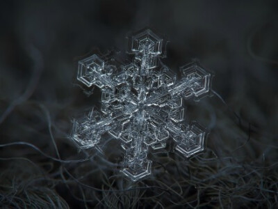 近观雪花之美，每一片都是独一无二的自然杰作。丨来自俄罗斯摄影师Alexey Kljatov。