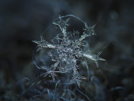 近观雪花之美，每一片都是独一无二的自然杰作。丨来自俄罗斯摄影师Alexey Kljatov。