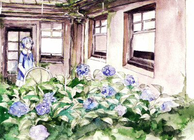 紫阳花