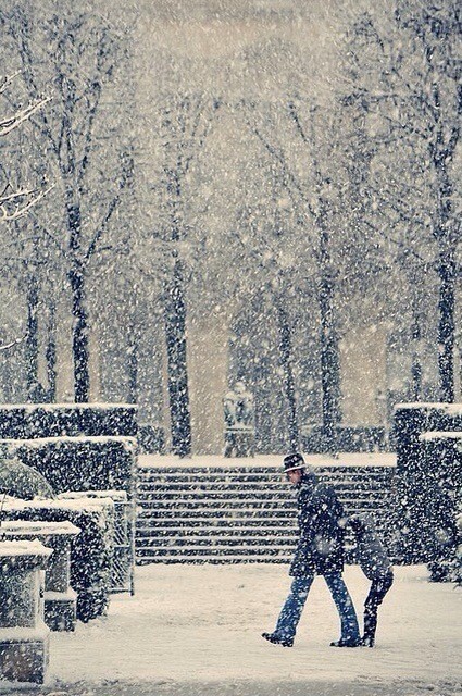 世界各地的雪景。