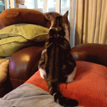 瓜皮教你怎么炫酷diao炸天转身方式……#萌#