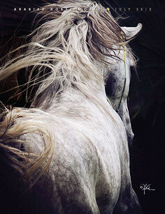 人鱼&amp;私人定制采集到Horse We Heart It