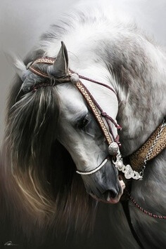 人鱼&amp;私人定制采集到Horse We Heart It