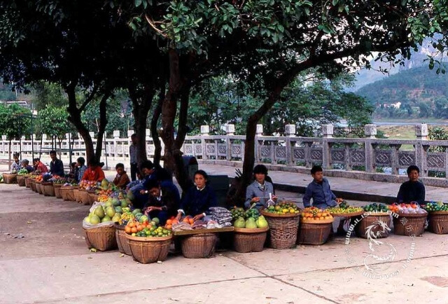 阳朔街头的水果摊