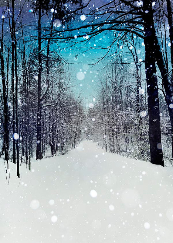 Blue Christmas Photograph, turquoise, white snow, forest.