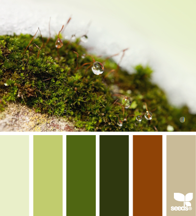 moss hues