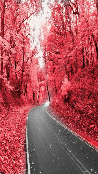 Pink Highway