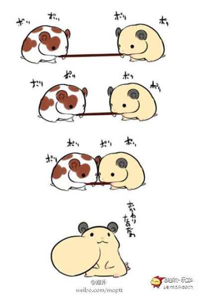 论谁才是真吃货！ http://t.cn/8kghQPF @猫扑乐加