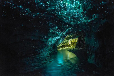 .Glowworms Cave 萤火虫洞穴（新西兰）