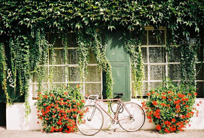 、骑车去旅行、花落谁家、house、flower、陌上花开时、陌上花开时、花落谁家啊、花花草草、旅行、自行车、家、家居