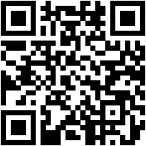 玲珑骰子安红豆，入骨相思知不知 【侵删】