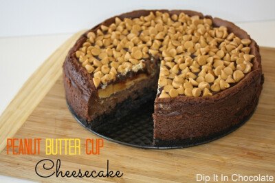 Dip it in Chocolate: Peanut Butter Cup Cheesecake