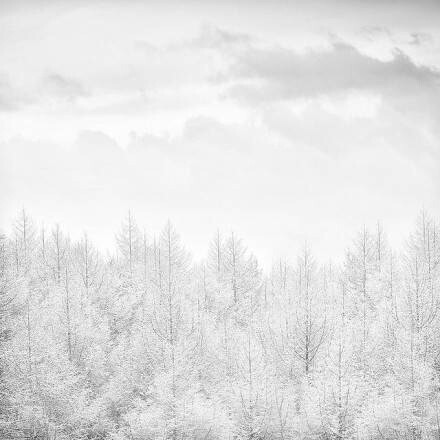 我也想带着一个人去雪乡，站在雪白的世界里～