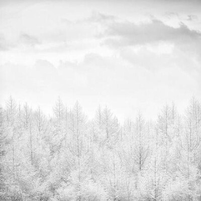 我也想带着一个人去雪乡，站在雪白的世界里～