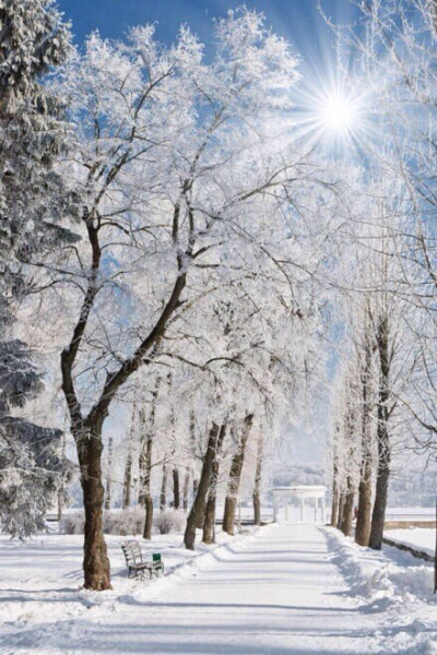 我也想带着一个人去雪乡，站在雪白的世界里～