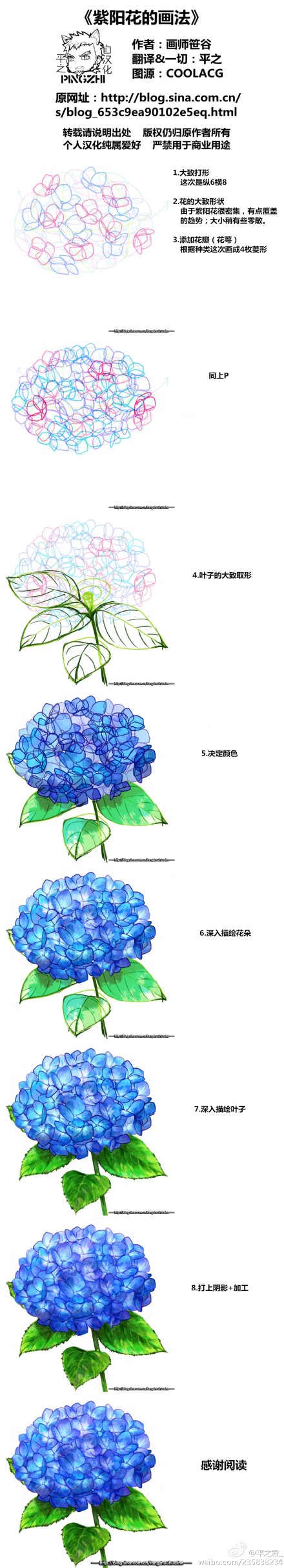 @平之君_ 《画师笹谷的花卉插画教程系列》嗯，这次是日本画师笹谷的花卉教程全集，修改了一些小错误。不仅有上两部的樱花与紫藤，后续的凌霄花、牵牛花、紫阳花也帮大家翻译出来了（虽然没多少字。顺便附送她的一个画树枝的小教程。图源@COOLACG 【转载请说明出处】