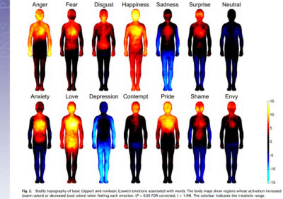 PNAS一篇文章运用一种新方法画出各种情绪的全身热图。