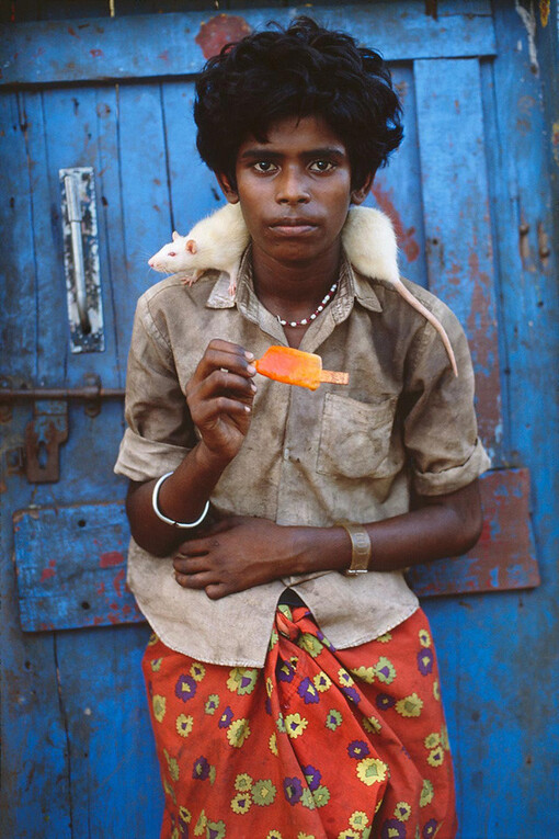 ▲ Steve McCurry ▲