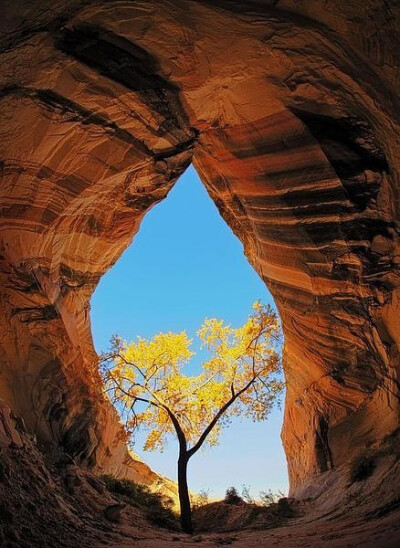 Cathedral in the Desert,near the Utah/Arizona border ,by Mr. Jalapeño