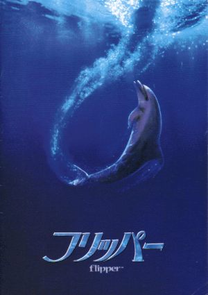 《海豚的故事》：这是一个奇妙的海洋冒险故事！ 也是一个人与宠物之间的的感人故事！ 许多孩子最好的朋友是小狗或者小马，但12岁大的桑迪却拥有着着与众不同的宠物?——一条聪明的海豚。桑迪无意中救了这条海豚。而海豚也知晓报恩，在桑迪遇到鲨鱼群时救了他