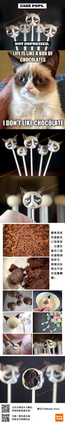 脾气暴躁的Grumpy Cat