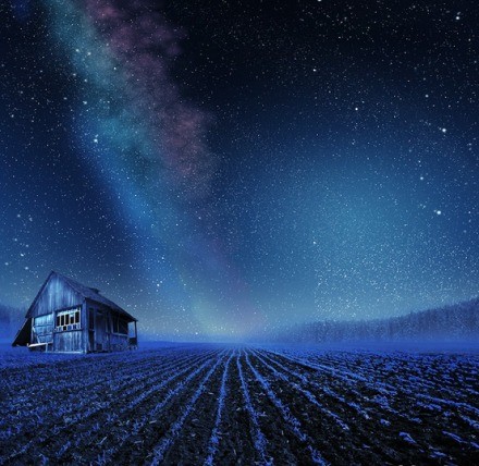 仰望星空，满天的繁星，像盛开的朵朵花儿。丨摄影师：Caras Ionut