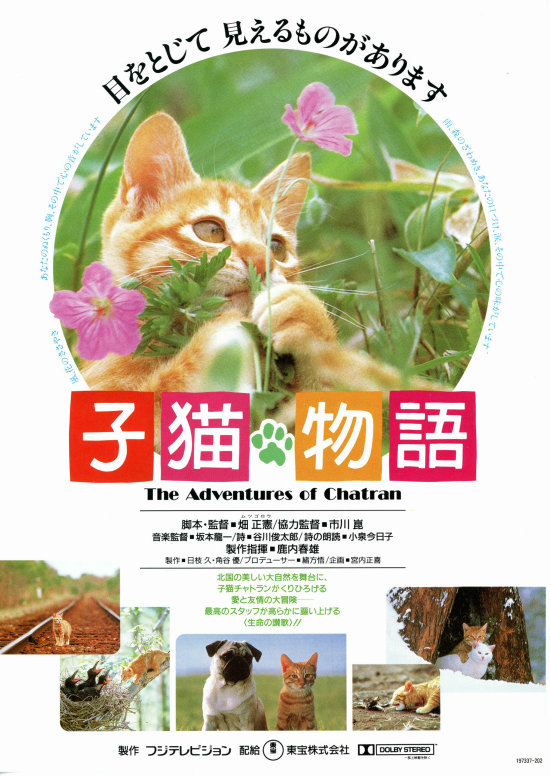 《子猫物语》：故事讲的是一起在农场长大的橘色斑纹猫猫 Milo 和哈巴狗 Otis 的冒险故事。Milo和 Otis 喜欢玩捉迷藏， Milo 太淘气了，总是跑到 Otis 想不到的地方。在一次捉迷藏时意外发生了， Milo 藏到了河边的一个木盒子里，没想到盒子突然被水冲走， Otis 为了救 Milo 奋力追赶，但最终走散。于是展开一段寻找好友的冒险历程。它们越过山川、森林，经历大雨大雪寻找彼此……