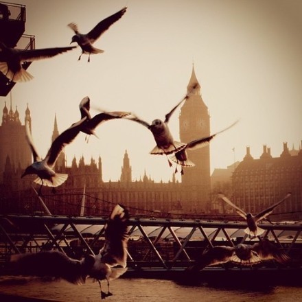 伦敦，漂洋过海去看你