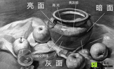 如何处理静物素描中明暗关系