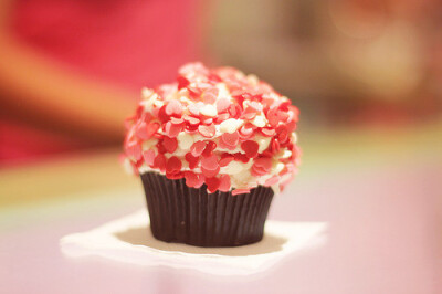 ※小食候※ —— Cupcake