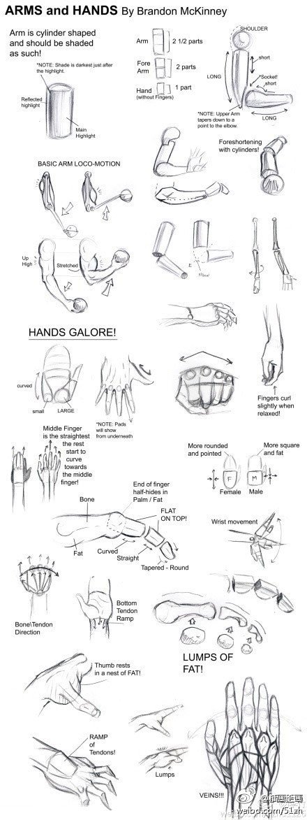 手和手臂的画法教程
