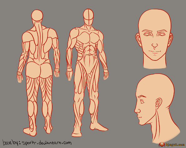 美国艺术家 Nicole （Spork-）的人体教程