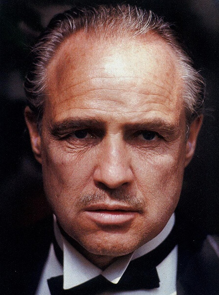 第四十五届（1972） 马龙·白兰度 Marlon Brando (拒绝领奖)性别: 男 星座: 白羊座 生卒日期: 1924-04-03 至 2004-07-01 出生地: 美国,内布拉斯加州,奥马哈 职业: 演员 / 导演 更多外文名: Marlon Brando Jr.(本名) 1973 奥斯卡(美国电影学院奖) 最佳男主角 教父 (1972)