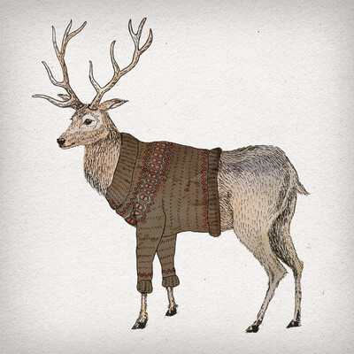 Stag Art Print David Fleck