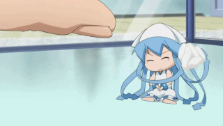 麻麻，我想养一只乌贼娘~~~~~（转自网络）