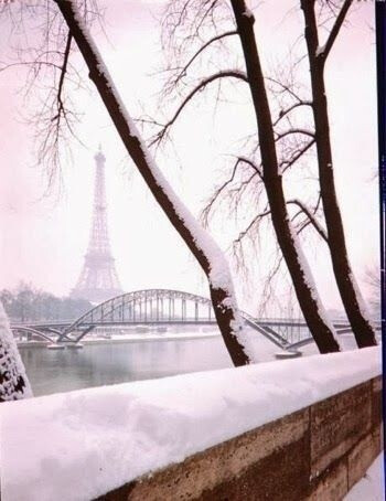 世界各地的雪景。巴黎