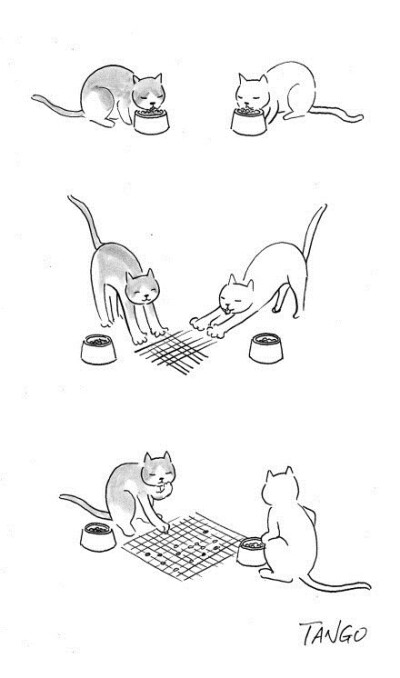 猫咪的休闲生活