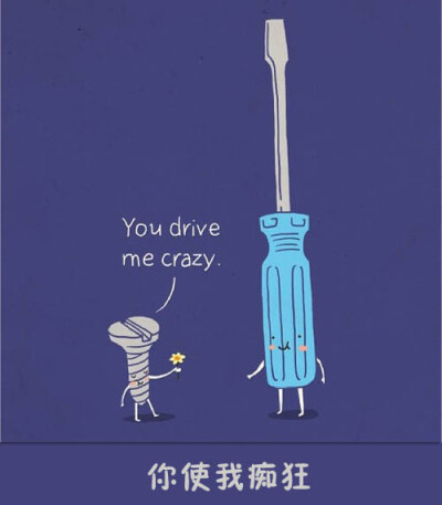 You drive me crazy. 你使我痴狂。