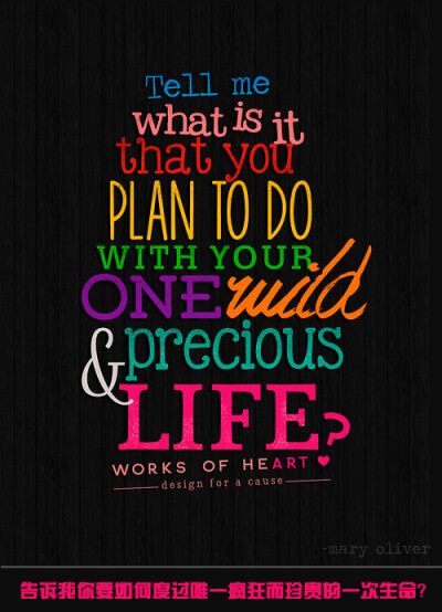 Tell me what is it that you plan to do with your one wild &amp;amp; precious life? 告诉我你要如何度过唯一疯狂而珍贵的一次生命？