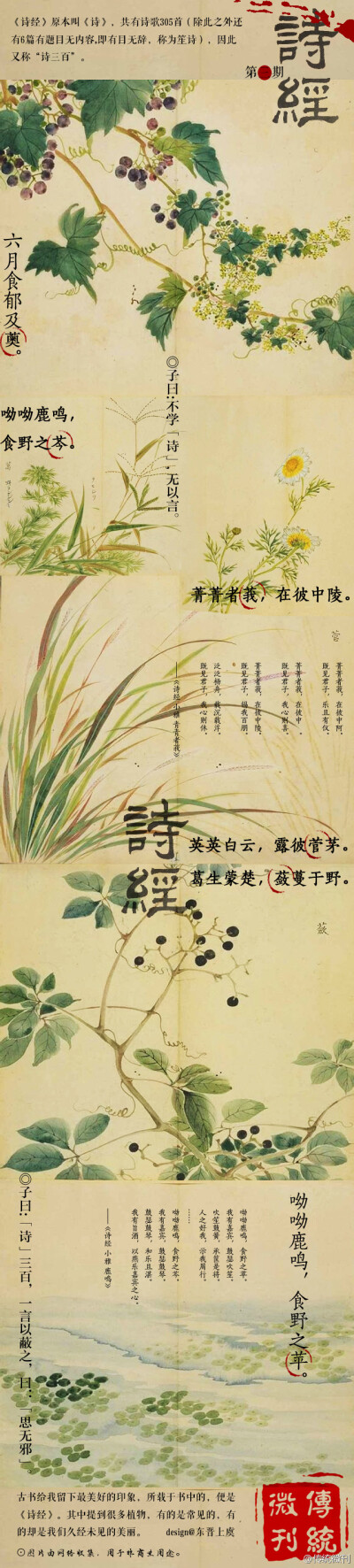 #传统微刊#【第三期·诗经】看到植物画册，回家翻出了诗经，不厚却落满了尘埃，烙印着满满是时间的陈旧。子曰：“《诗》三百，一言以蔽之。曰：思无邪。”思无邪，如此直述，不虚假、真情流露。这大概就是我爱《诗经…