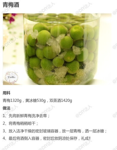 #美食工场#【9款自酿水果酒的做法】喜欢的就收走吧，自己做才放心有木有！！| DIY达人