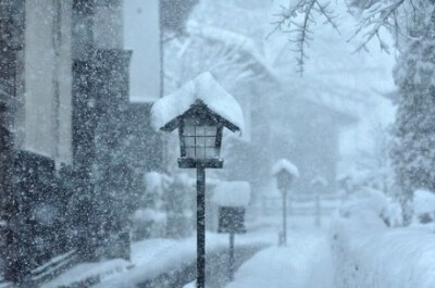 一年无雪，忽春而至。暂歇了浮华闹市，静谧了一座城池。//夏花。秋叶。寒枝。春雪。光阴宛转，美不过须臾。总要有人相伴，看一看这轮回的四季。我愿意那是你。自此，寂寞处也见韶光……