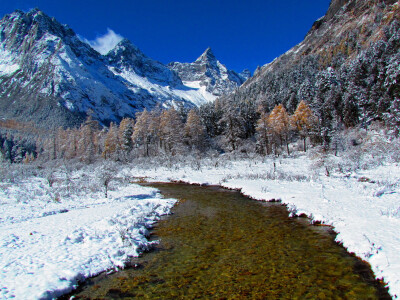 毕棚沟景区位于四姑娘山北麓,也称四姑娘山的后山。毕棚沟以其优美的自然风光、完美的自然生态景观、优良的生态环境著称。