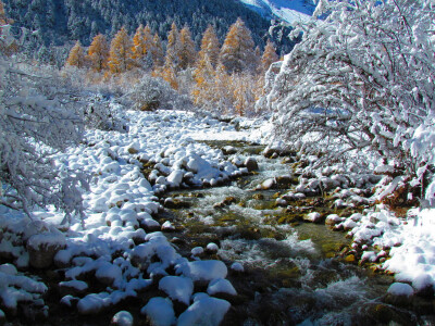 毕棚沟景区位于四姑娘山北麓,也称四姑娘山的后山。毕棚沟以其优美的自然风光、完美的自然生态景观、优良的生态环境著称。