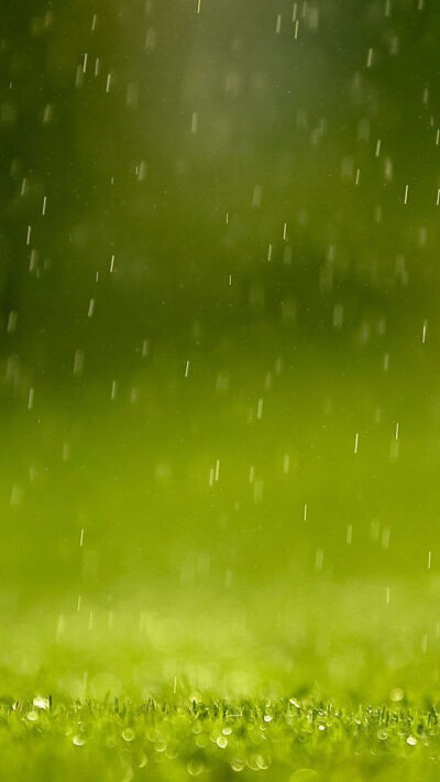 Rain #iPhone #5s #Wallpaper |http://www.ilikewallpaper.net/iphone-5-wallpaper/， welcome to download more .